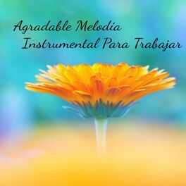 Album cover of Agradable Melodía Instrumental Para Trabajar