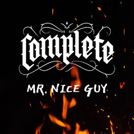 Album cover of Mr Nice Guy