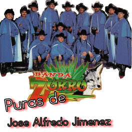 Album cover of Puras de Jose Alfredo Jimenez