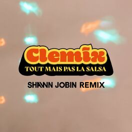 Album cover of Tout mais pas la salsa (Shawn Jobin Remix)