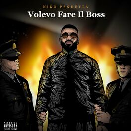 Album cover of VOLEVO FARE IL BOSS