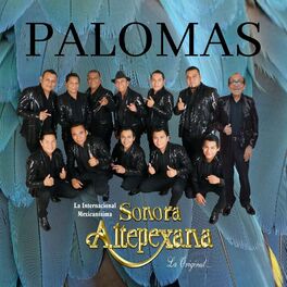 Album cover of Palomas
