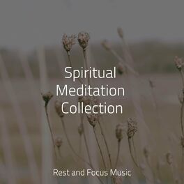 Album cover of Spiritual Meditation Collection