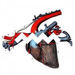 Album cover of No Love