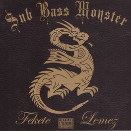 Album cover of Fekete Lemez