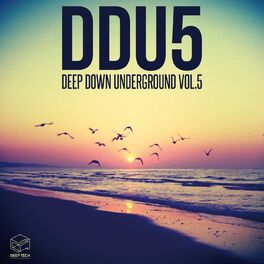 Album cover of Deep Down Underground Vol.5