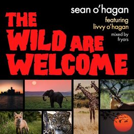 Album cover of The Wild Are Welcome