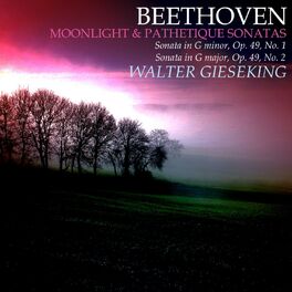 Album cover of Beethoven: Moonlight - Pathetique - Sonata No. 19 - Sonata No. 20