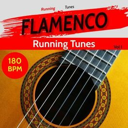 Album cover of Flamenco Running Tunes Vol 1
