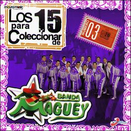 Album cover of Los 15 para Coleccionar