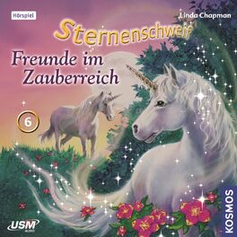 Album cover of Teil 6: Freunde im Zauberreich
