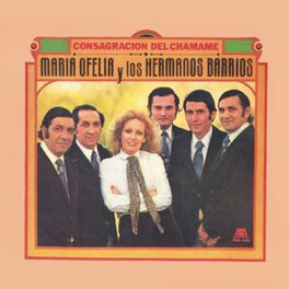 Album cover of Consagración del Chamamé