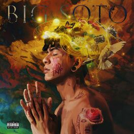 Album cover of Lloro :'(