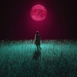 Album cover of Singing with the Wolves (Remix)