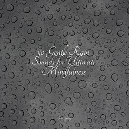 Album cover of 50 Gentle Rain Sounds for Ultimate Mindfulness