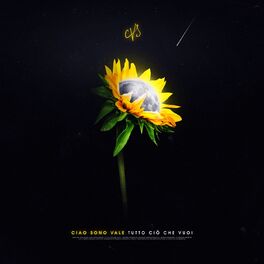 Album cover of Tutto ciò che vuoi