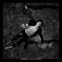 Album cover of Waste My Youth