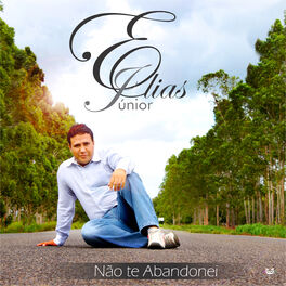Album cover of Não Te Abandonei