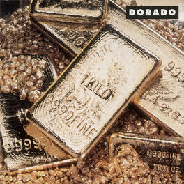 Album cover of Fine Gold
