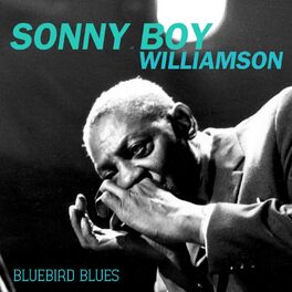 Album cover of Bluebird Blues