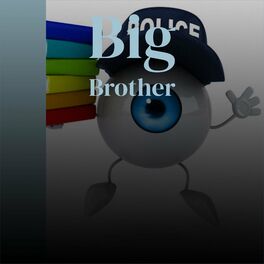 Album cover of Big Brother