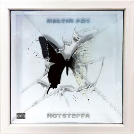 Album cover of Meltin' Pot