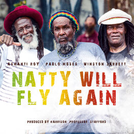 Album cover of Natty Will Fly Again