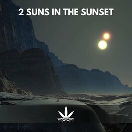 Album cover of 2 Suns In The Sunset