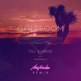 Album cover of Till Sunrise (Remix)