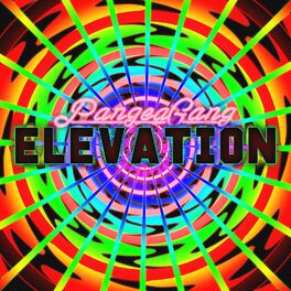 Album cover of Elevation (feat. ESARA, PureA, Germoney, Midnight Prophet, Kris Cherry, Know Justice & ether.UNLIMITED)