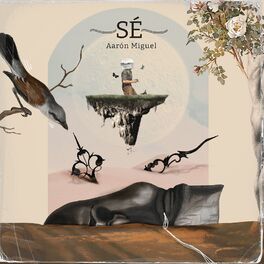 Album cover of Sé
