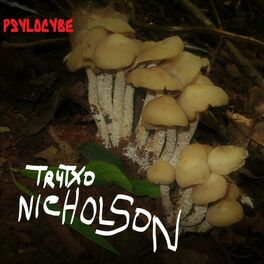 Album cover of Psilocybe