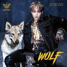 Album cover of WOLF