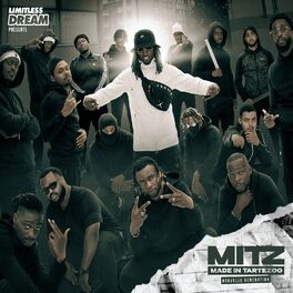 Album cover of M.I.T.Z: Made In Tarte Zoo