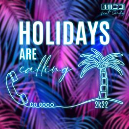 Album cover of Holidays Are Calling 2k22 (Radio Edit)