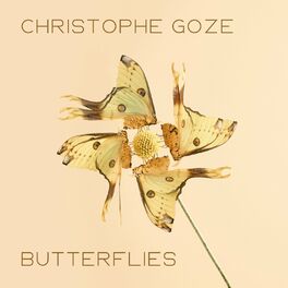 Album cover of Butterflies