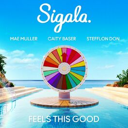 Album cover of Feels This Good (feat. Stefflon Don)