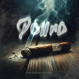 Album cover of Pouro