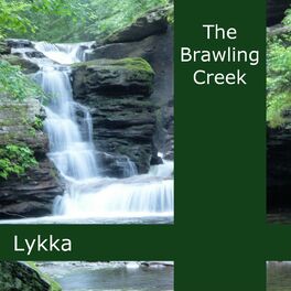 Album cover of The Brawling Creek