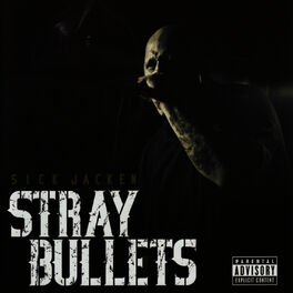 Album cover of Stray Bullets