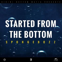 Album cover of Started from the Bottom