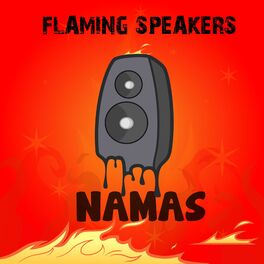 Album cover of Flaming Speakers