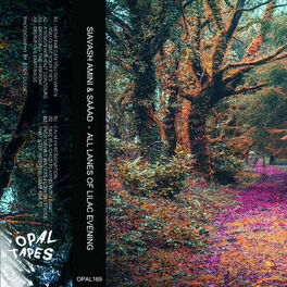 Album cover of All Lanes Of Lilac Evening
