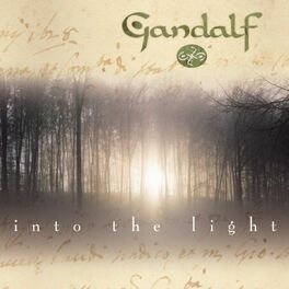 Album cover of Into The Light