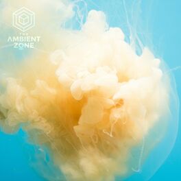 Album cover of Mindful Meditation 001 : The Ambient Zone