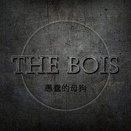 Album cover of The Bois