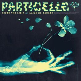 Album cover of Particelle