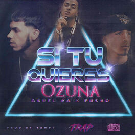 Album cover of Si Tu Quiere (feat. Pusho)