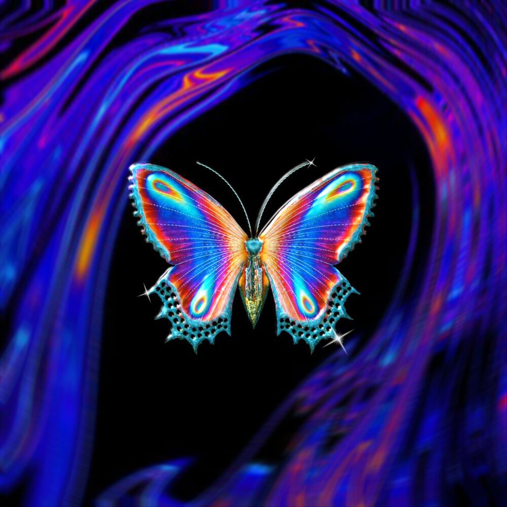 Butterfly de. Бабочка музыкальная. Альбом с бабочками. Обложка музыкального альбома с бабочкой. Темные обои с синими бабочками.