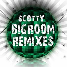 Album cover of Bigroom Remixes